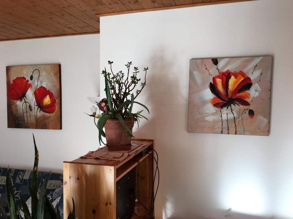 Apartmenthaus Simmer Obertraun Zewnętrze zdjęcie